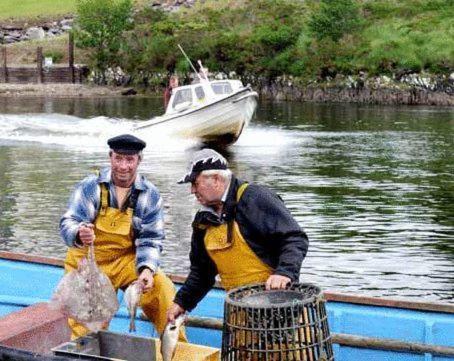 Golden'S Cove Apartments At Sneem Hotel Extérieur photo