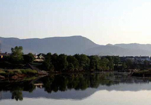 Golden'S Cove Apartments At Sneem Hotel Extérieur photo